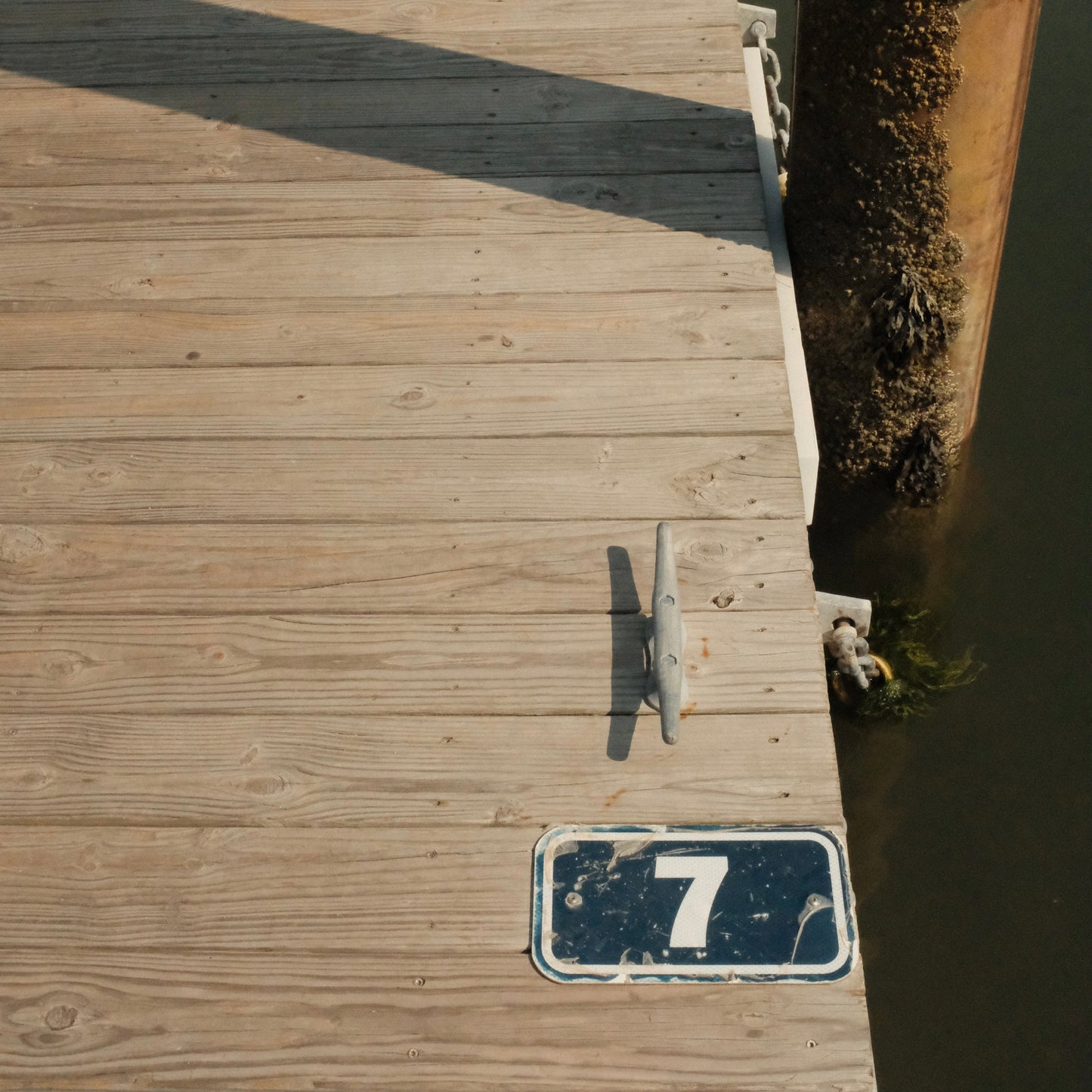 Dock Blend