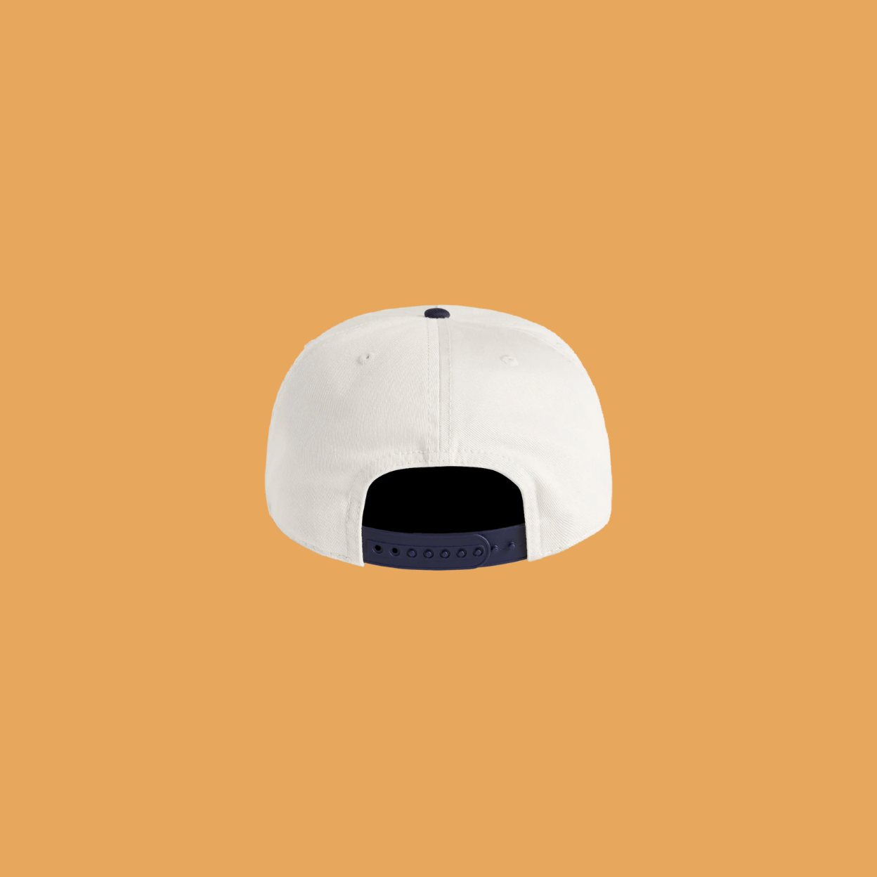 Speedy Snail Embroidered Hat