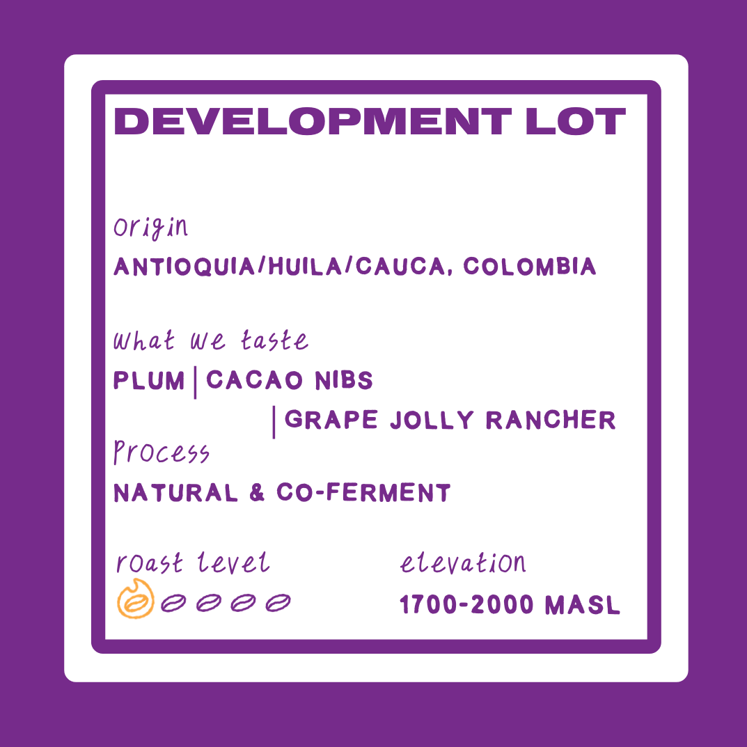 DEVELOPMENT LOT