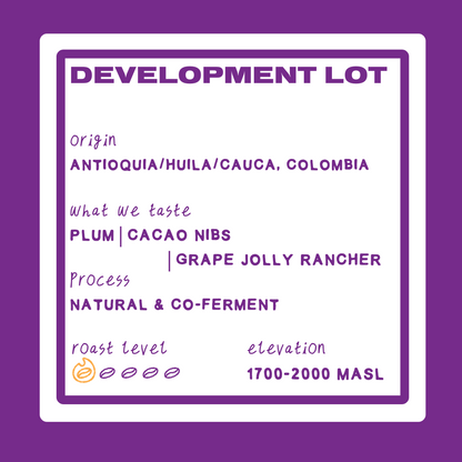 DEVELOPMENT LOT