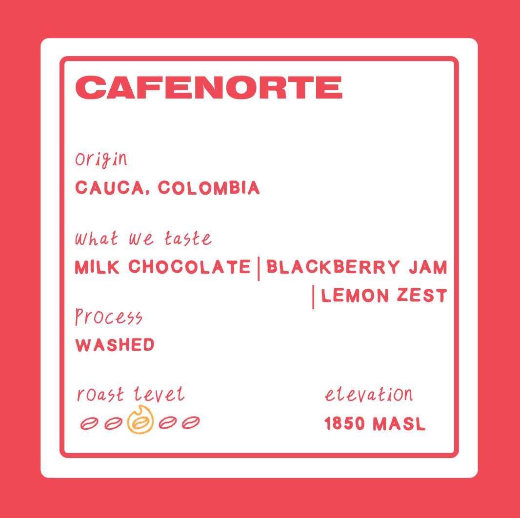 CAFENORTE