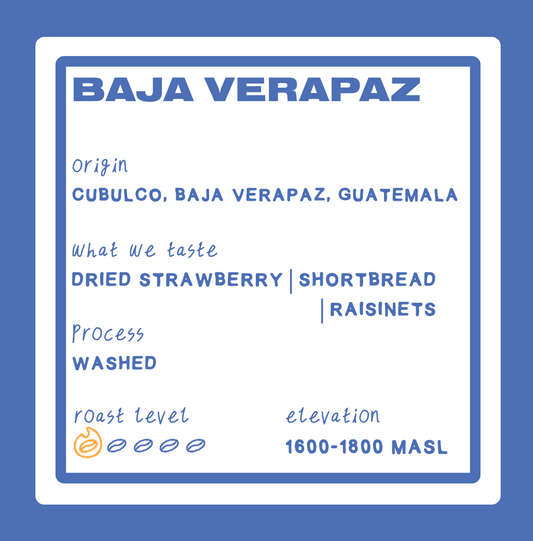BAJA VERAPAZ